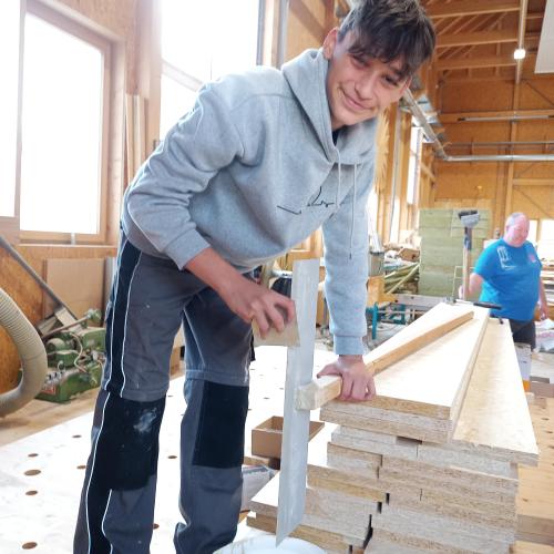Holz 1