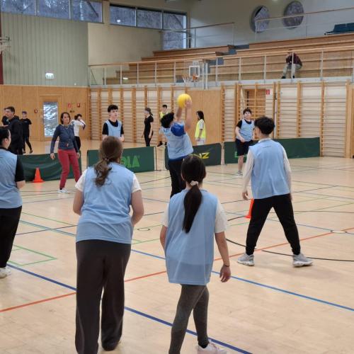 Volleyball_1
