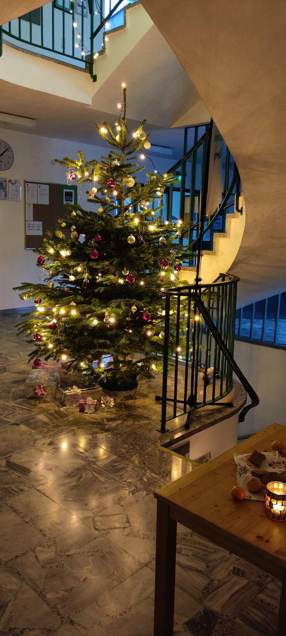 Weihnachtsbaum